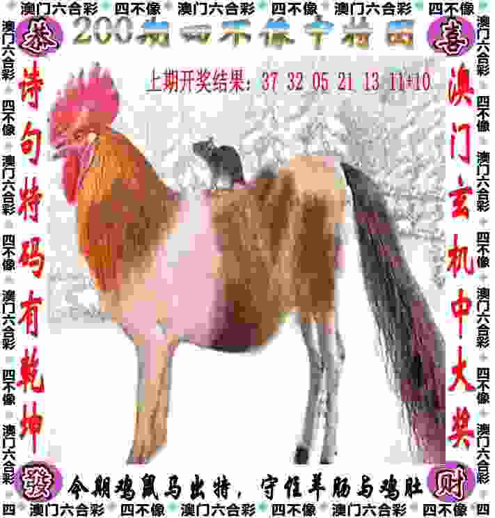 东京奥运会双旗手？网友：马龙搭档朱婷　