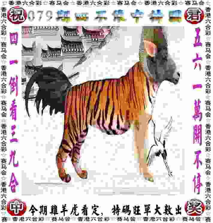 >新门内部资料免费提供